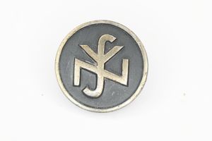 WW2 German NSV National Socialist Volkswohlfahrt pin