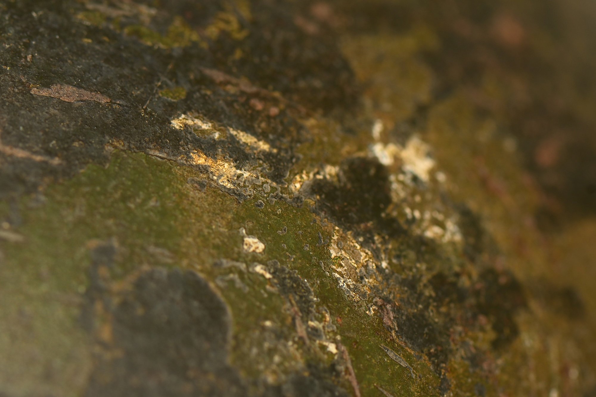 m40 sd wehrmacht 2 tone camo helmet — image 11