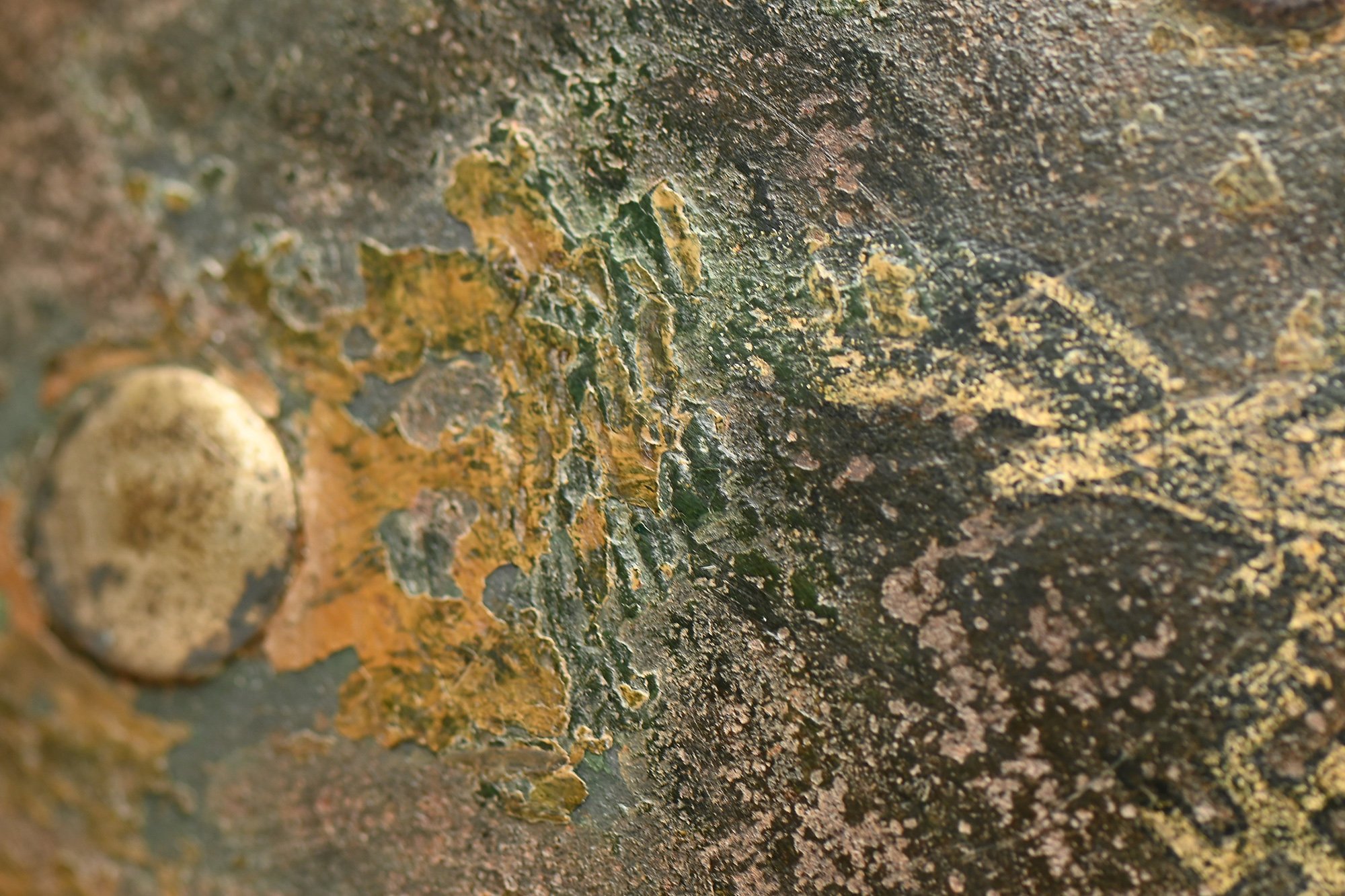 luftwaffe m40 camo helmet — image 14