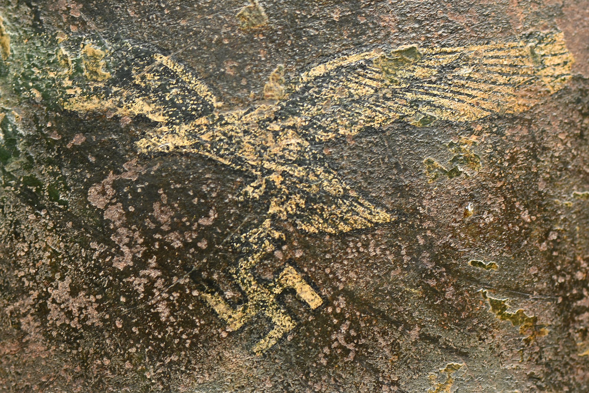 luftwaffe m40 camo helmet — image 15