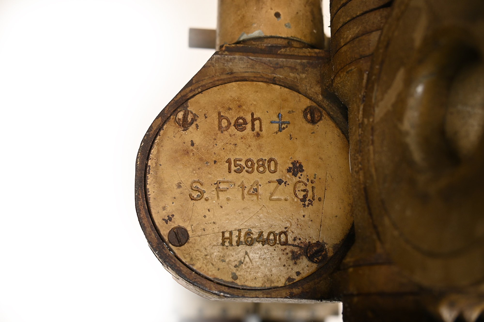 sf14 tan yellow — image 14