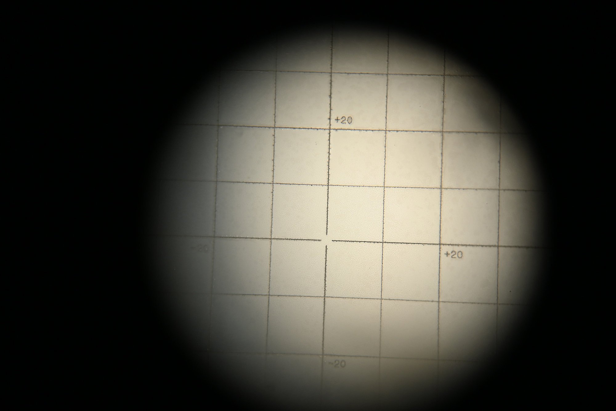 sf14 tan yellow — image 15