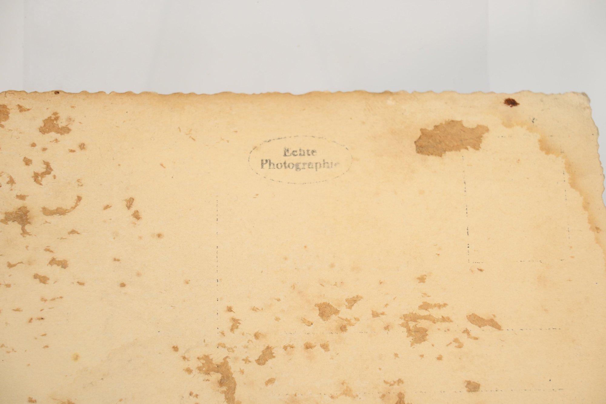 mountain hunter postcard. — image 4