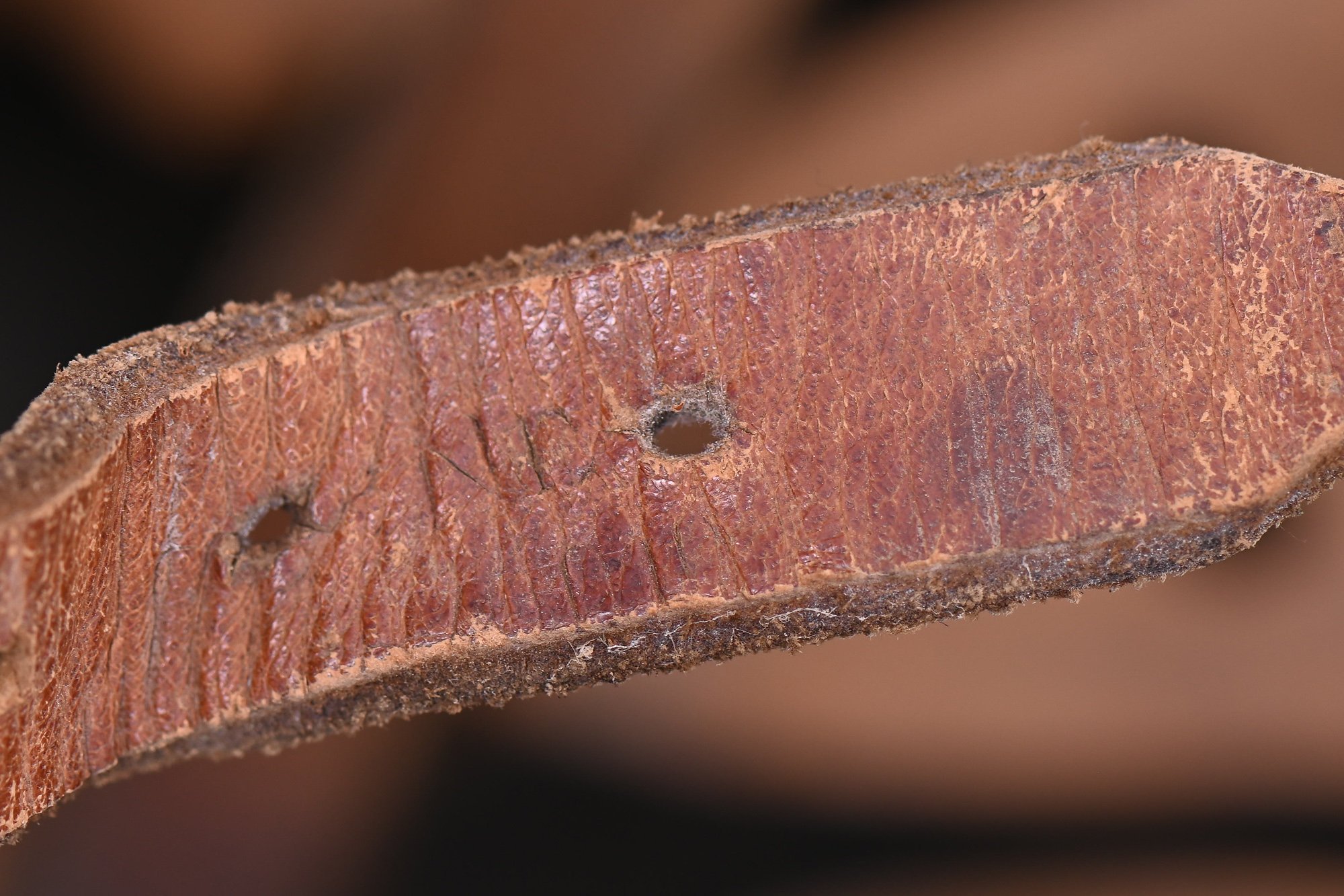 m40 helmet with green camo. — image 7