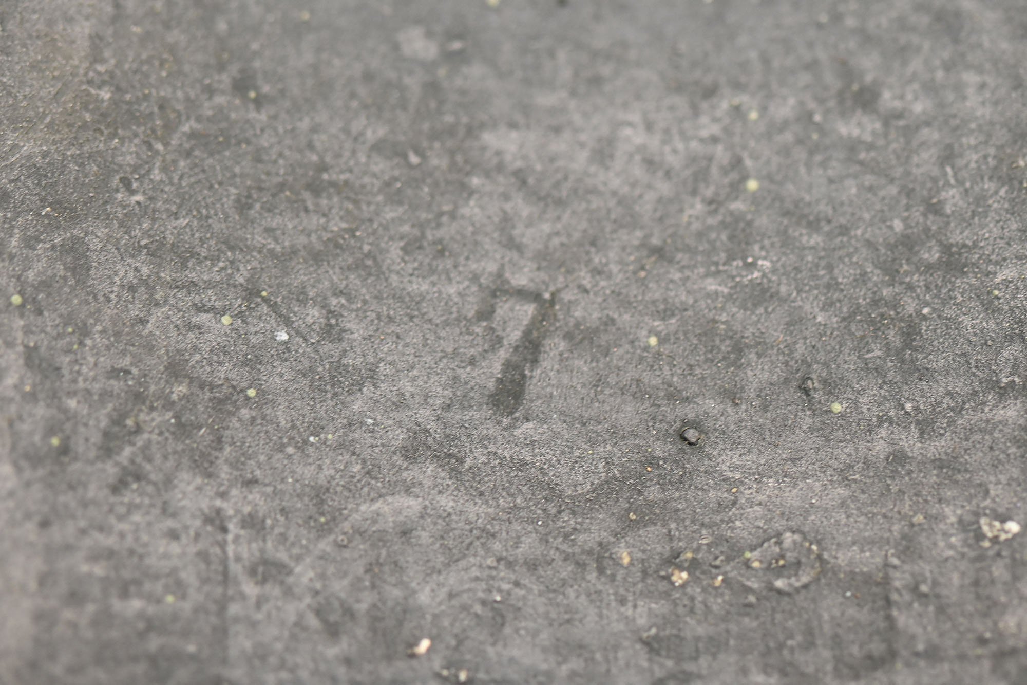 m40 Quist wood chip camo helmet — image 15