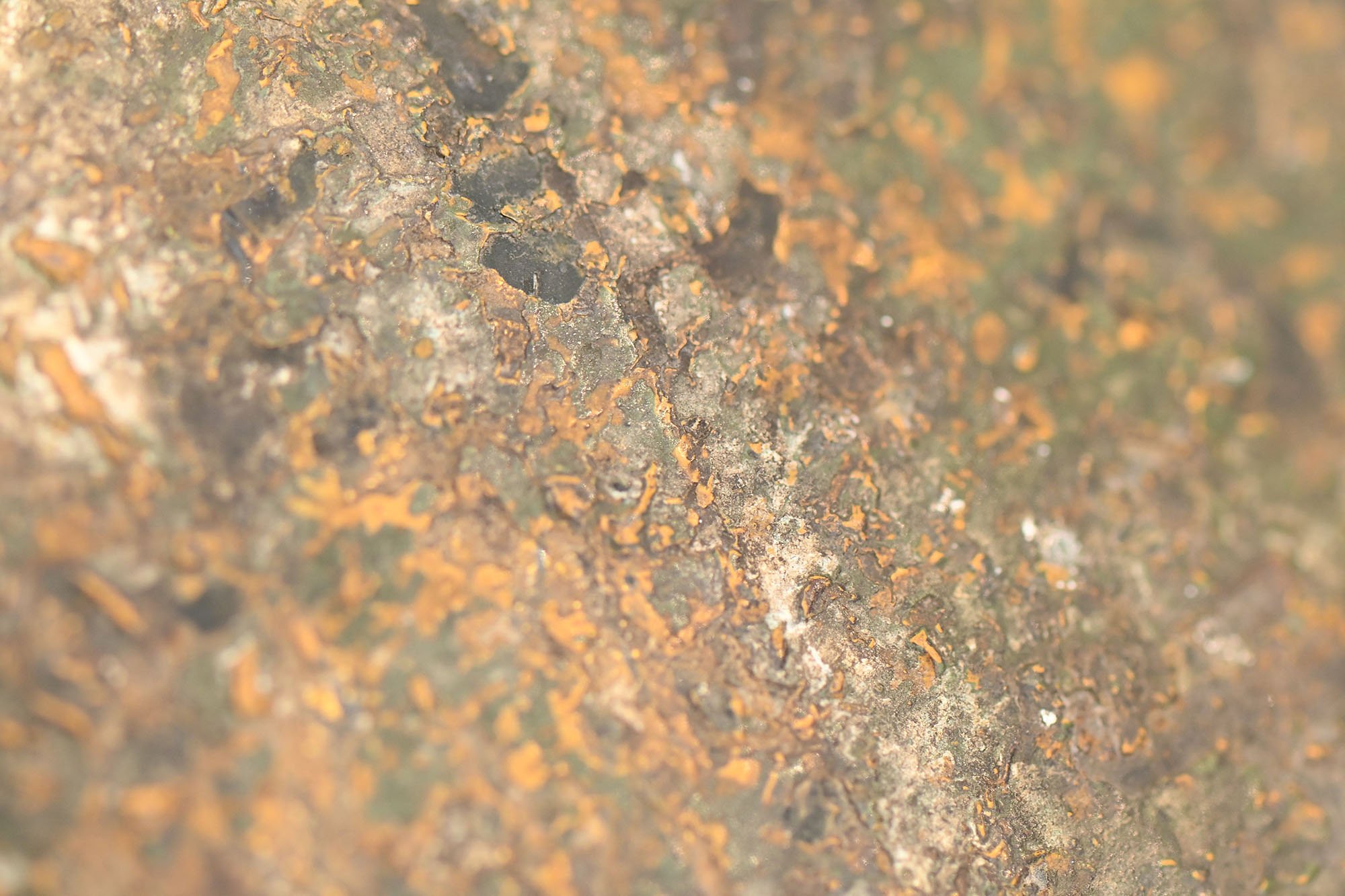 m40 sd camo helmet ET64 — image 13