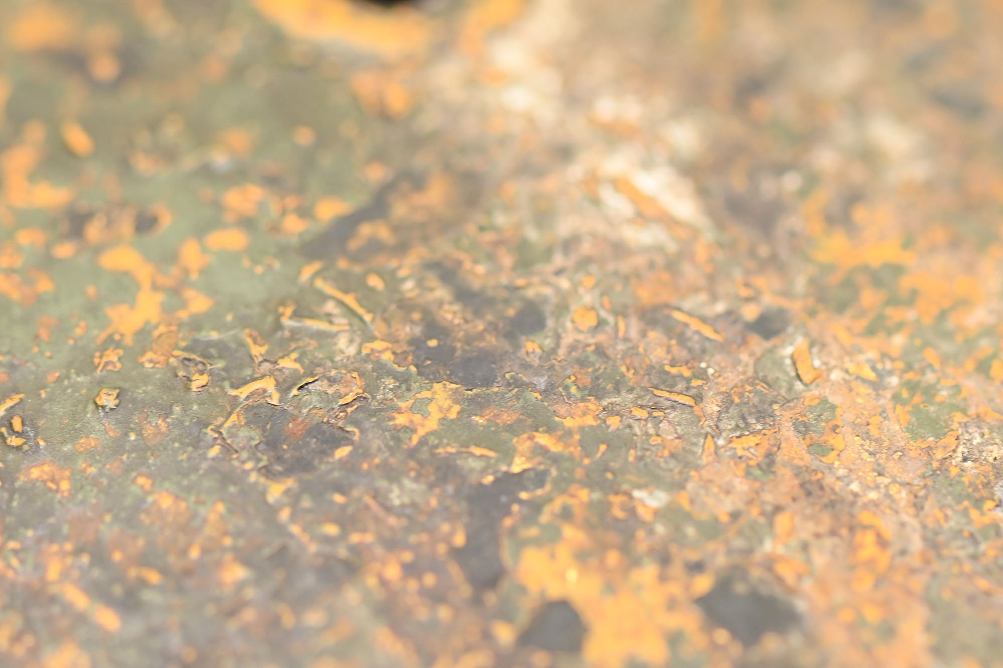 m40 sd camo helmet ET64 — image 14