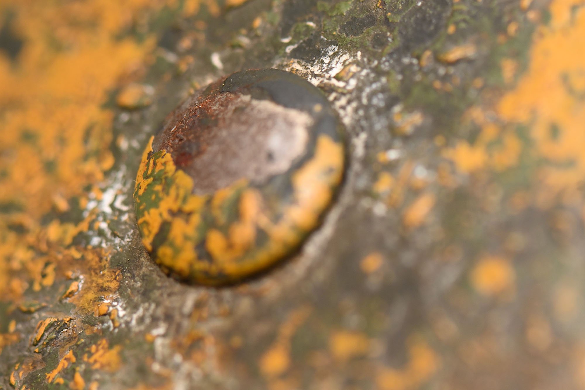 m40 sd camo helmet ET64 — image 15