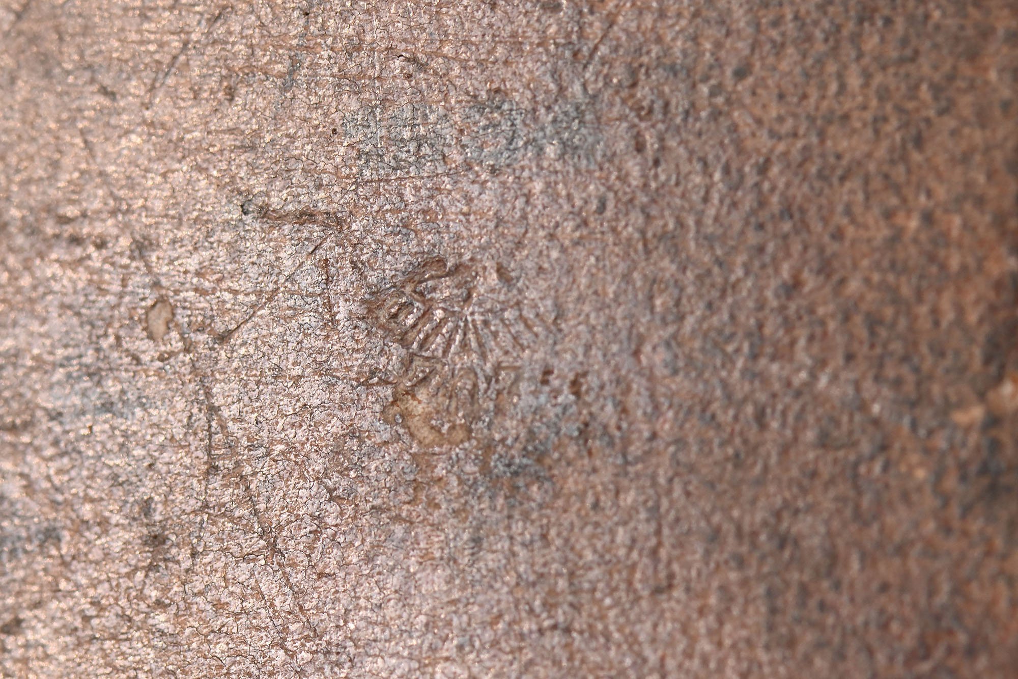 German pioneer scissors in bag. — image 8