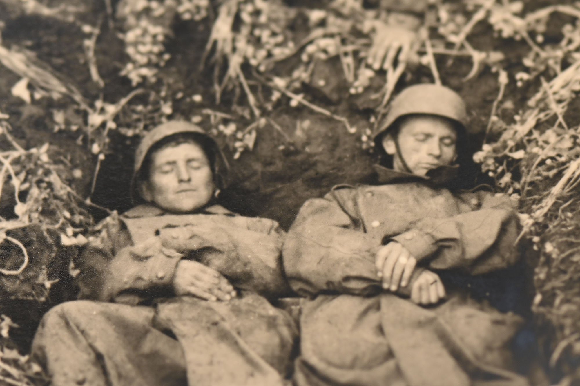 photo of sleeping wire detectors — image 3