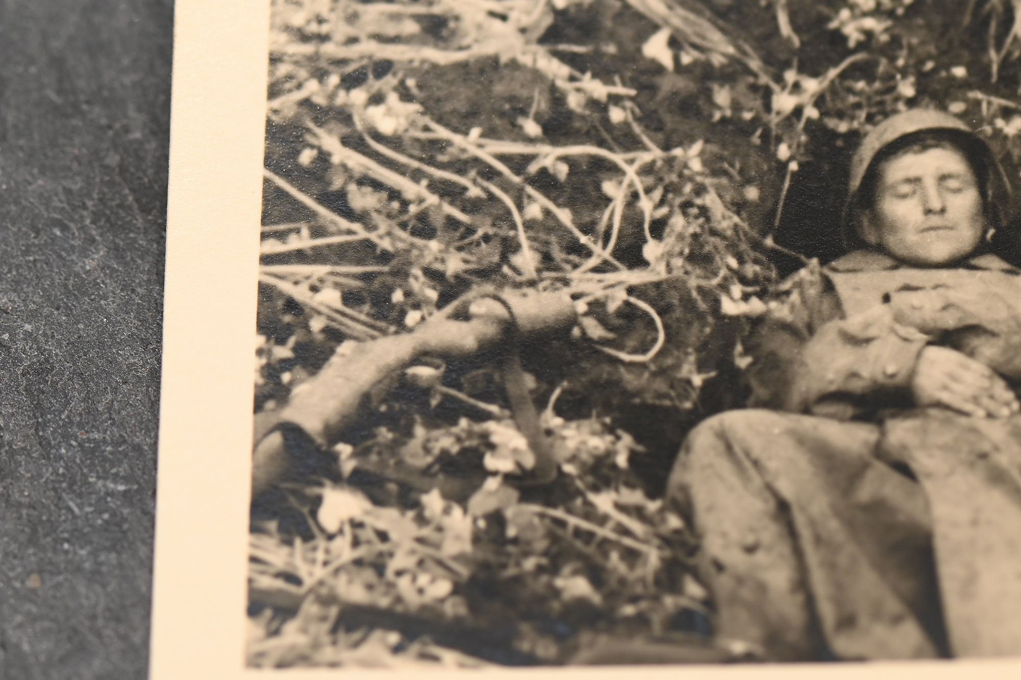 photo of sleeping wire detectors — image 4