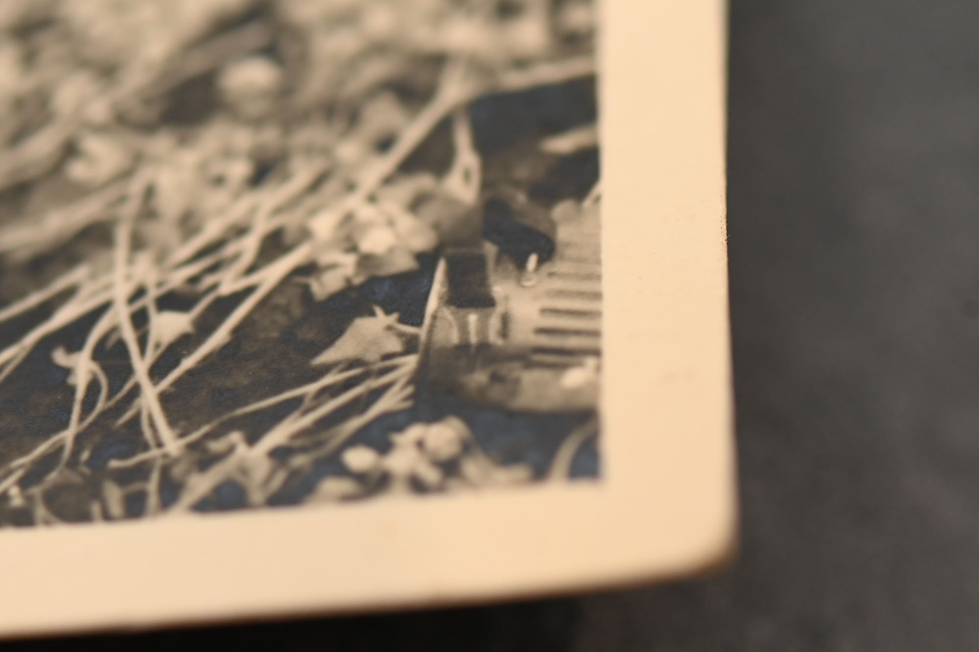 photo of sleeping wire detectors — image 6