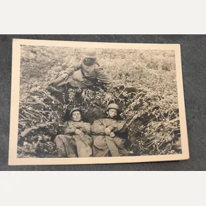 photo of sleeping wire detectors