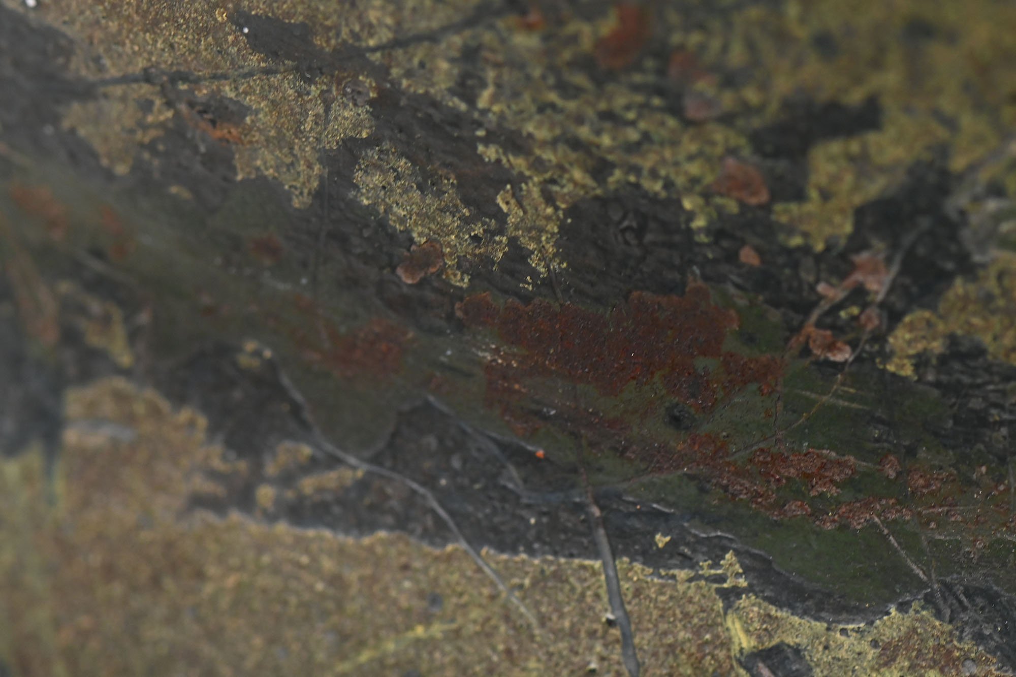 m35 3tone camo helmet — image 15