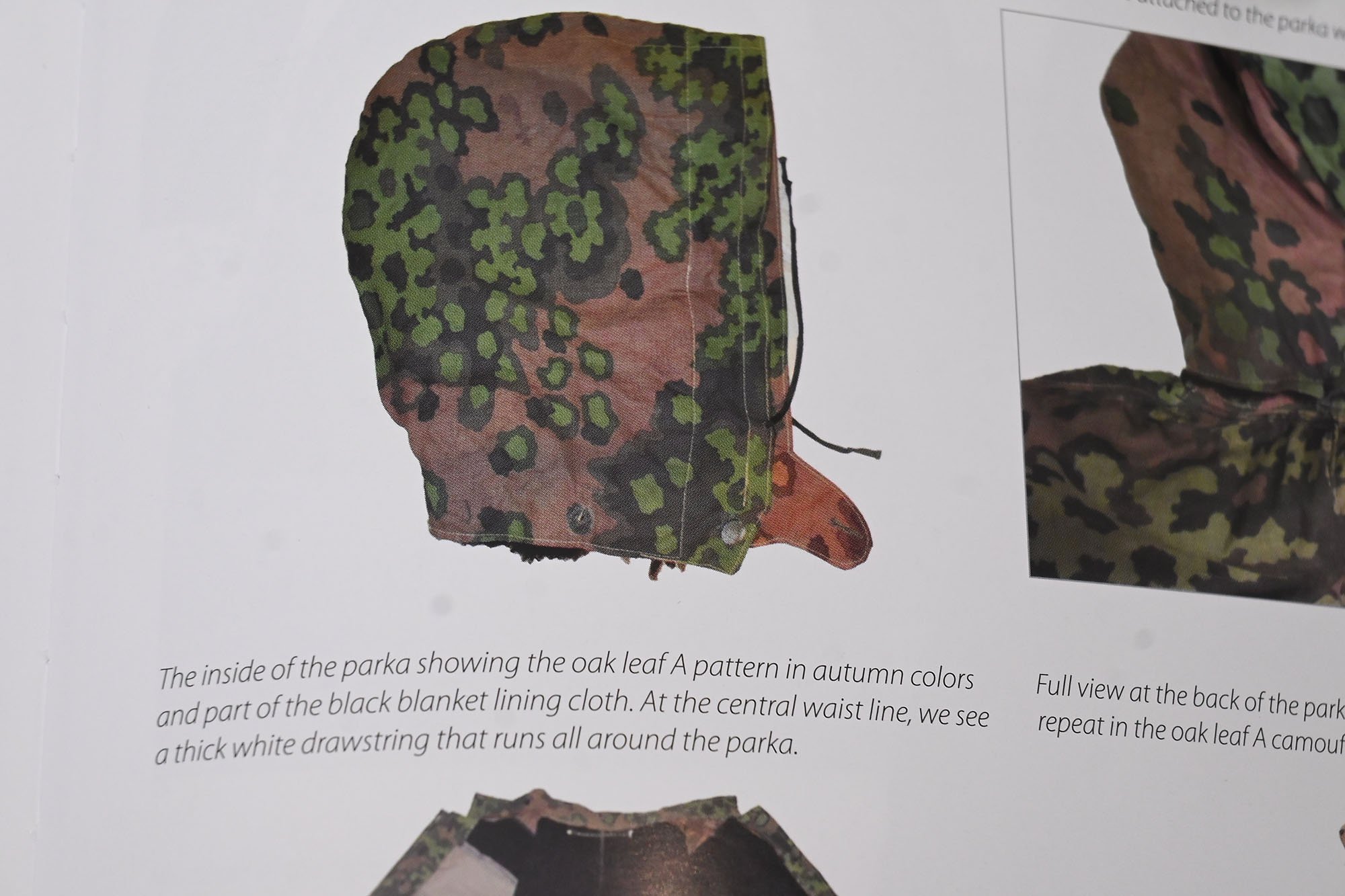 extra pictures. — image 3