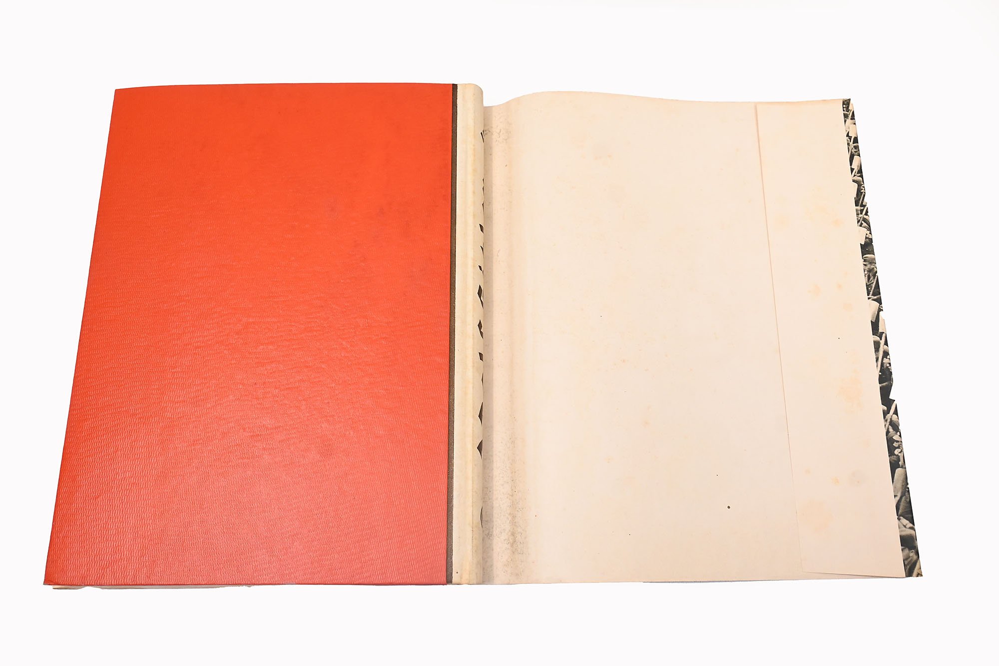 gypsy album Adolf Hitler — image 11