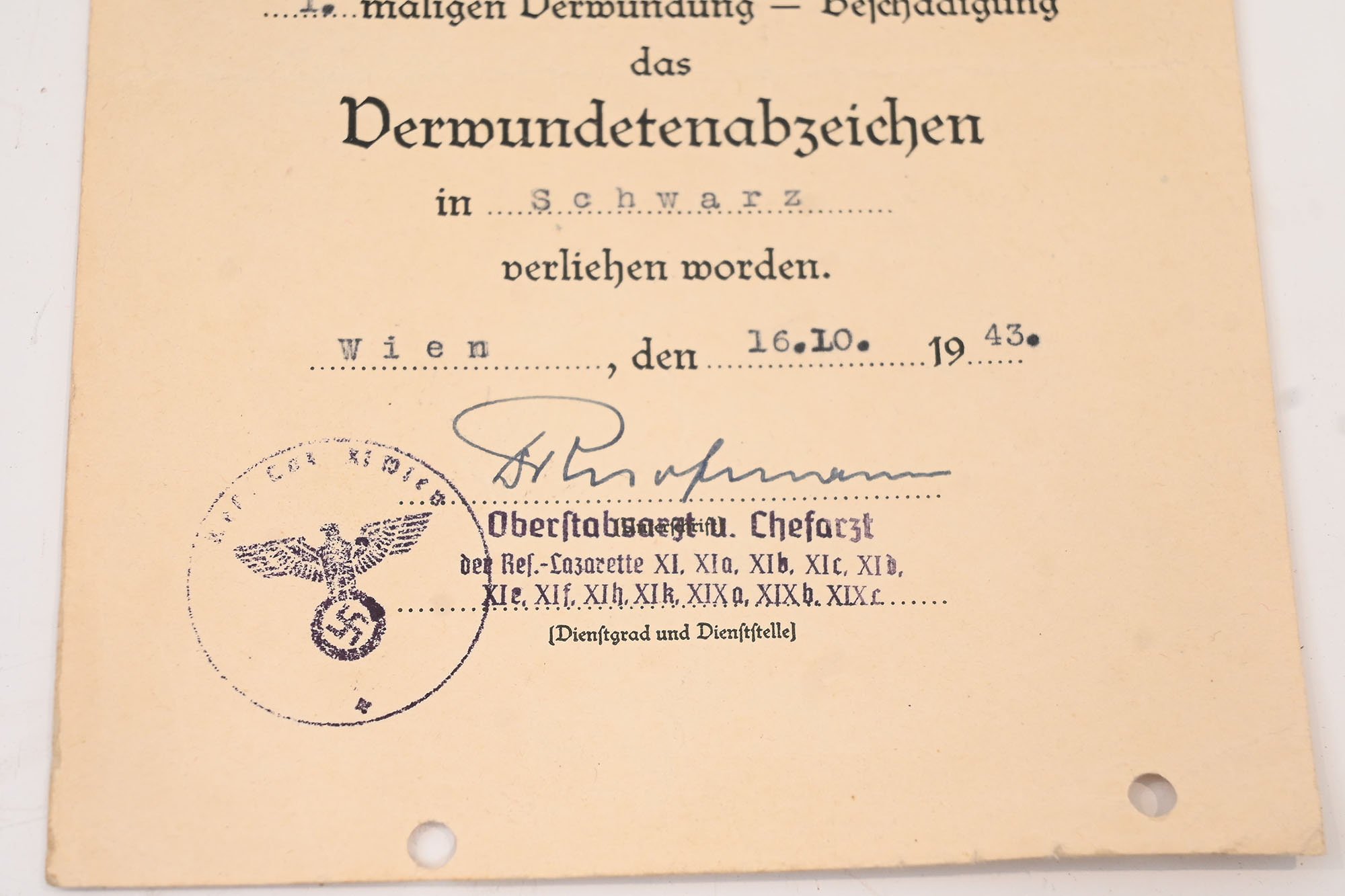 set of certificates from the same person — image 12