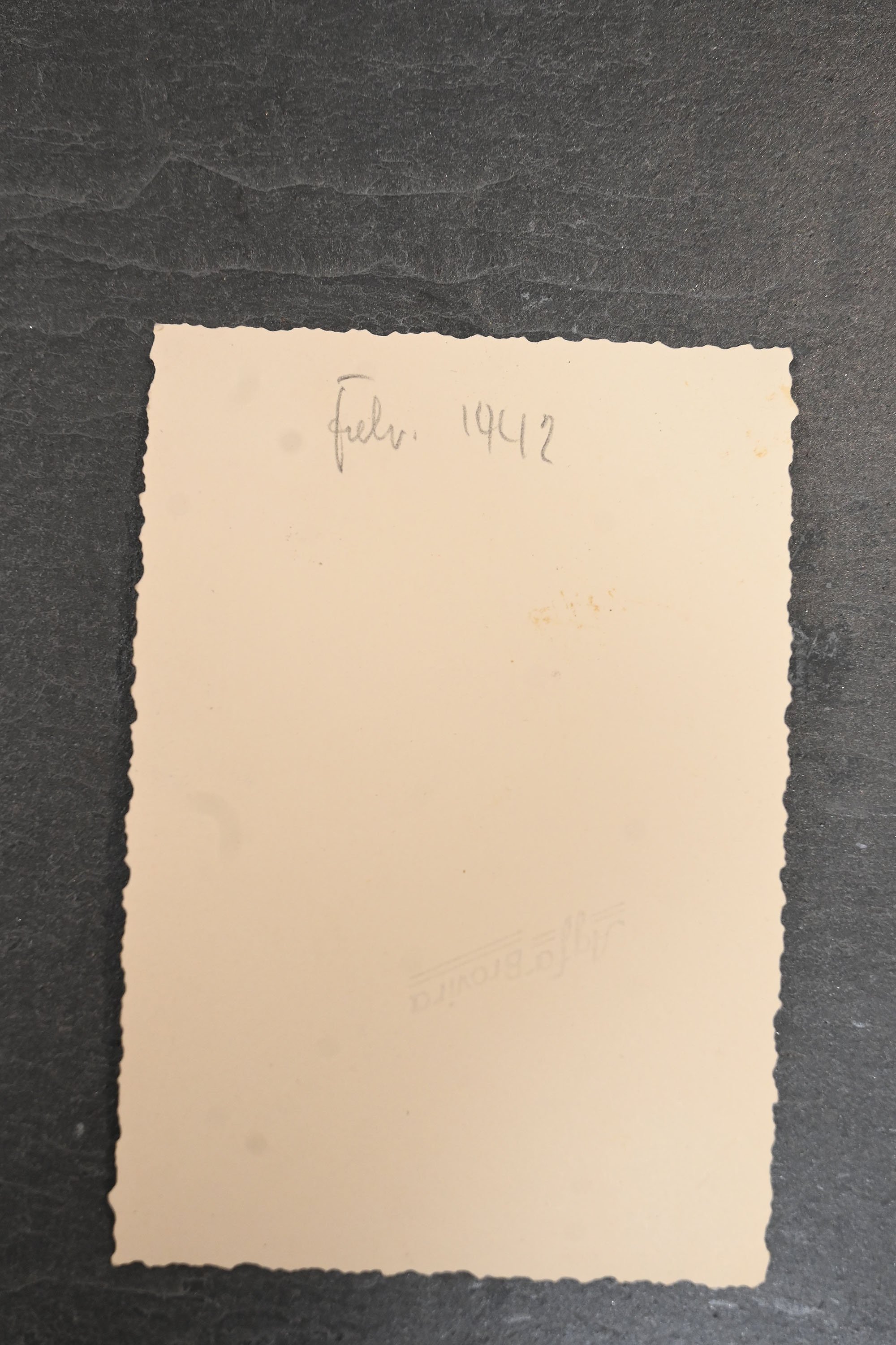 panzer portet foto — image 4