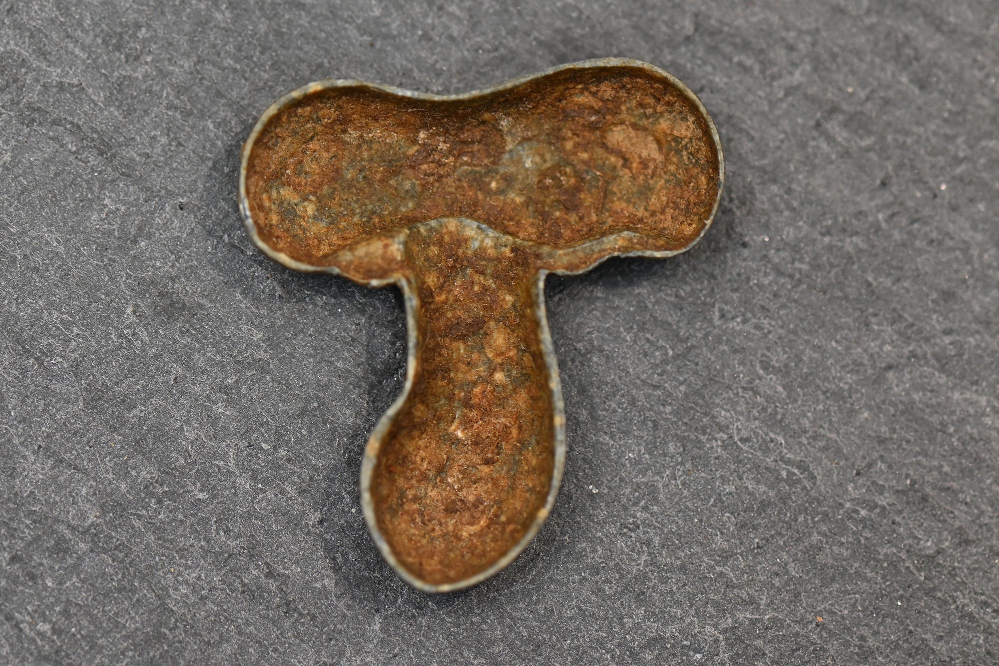 Wehrmacht 205th Infantry Division badge — image 2