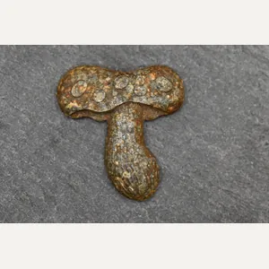 Wehrmacht 205th Infantry Division badge