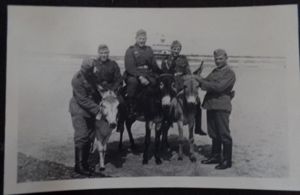 Holland - photocard - Scheveningen