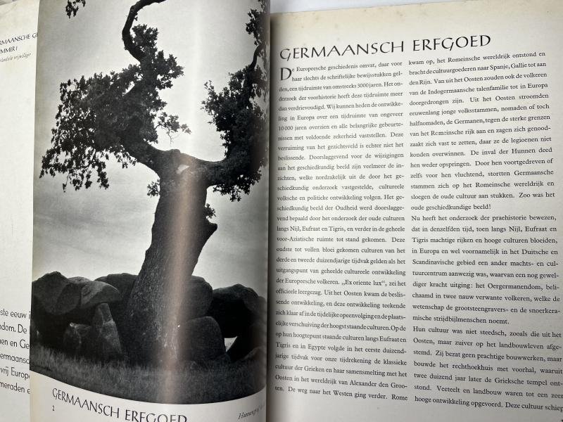 'Germaaansche Gemeenschap' Nr.1 (Nederlandse Vrijwilliger/Dutch volunteer) — image 10