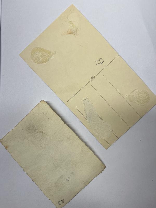 Citation grouping - WH (Heer) - 14.Pz.Div. - Stalingrad - Kröger — image 8