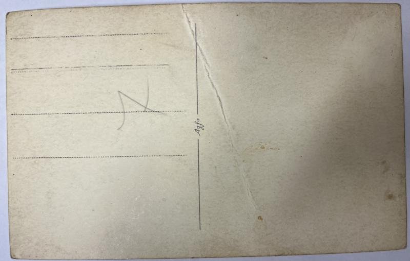 'Waffen-SS' - photocard - Wiking — image 2