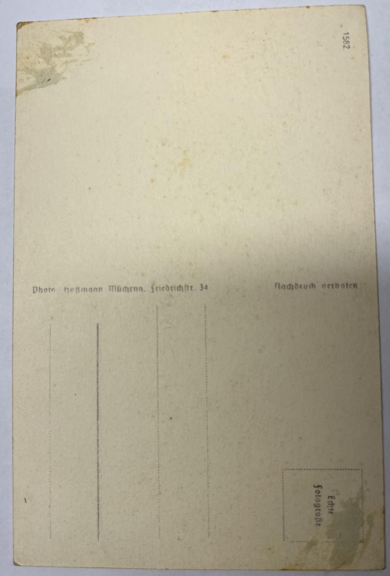 Hoffmann postcard - Mannerheim/A.H. — image 2