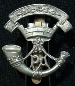 The Somerset Light Infantry (Prince Albert's Own)