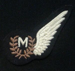 Royal Air Force. Beret