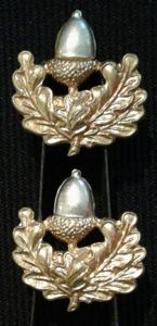 The Cheshire Regiment