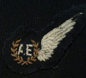 The Royal Air Force Brevet