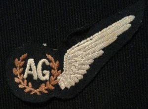 The Royal Air Force Brevet