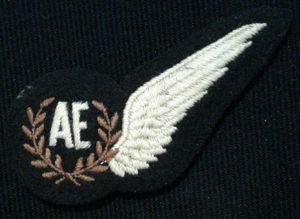 The Royal Air Force Brevet