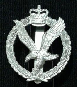The Army Air Corps