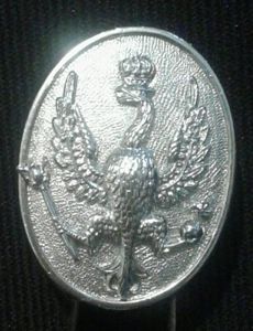 The 14th/20th (King's) Hussars.