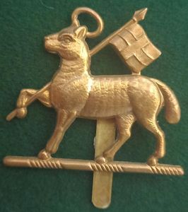 The 22nd COUNTY OF LONDON REGIMENT