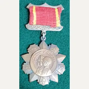 AFGHANISTAN MEDAL FOR DISTINGUISHED MILITRY SERVICE