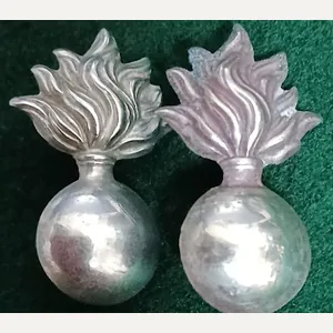 THE ROYAL IRISH REGIMENT .