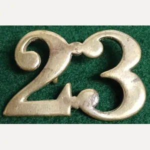 THE 23TH REGIMENT OF FOOT