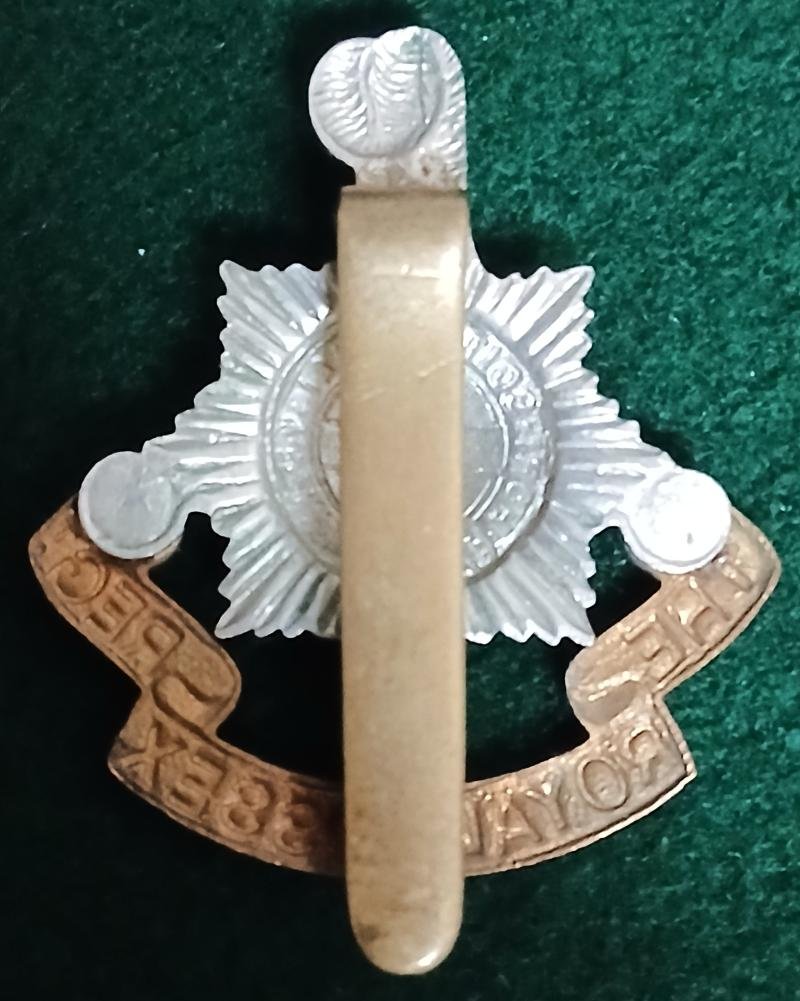 ROYAL SUSSEX REGIMENT — image 2