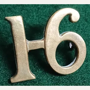 THE 16TH REGIMENT OF FOOT