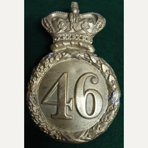 THE 46TH REGIMENT OF FOOT