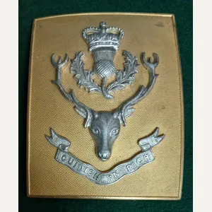 THE QUEEN'S OWN HIGHLANDERS (Seaforth and Camerons)