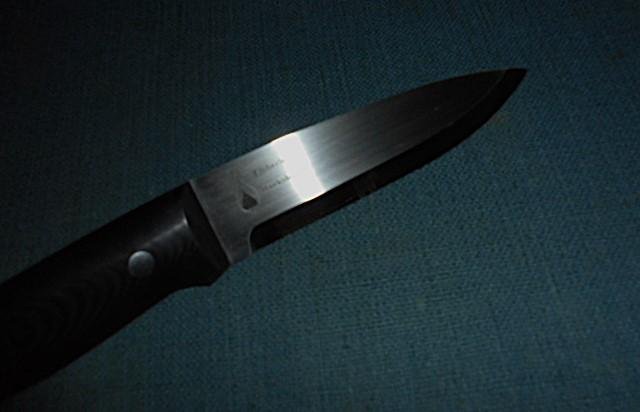 Scarce Ray Mears Woodlore Knife by Emberleaf S/n 03119 — image 5