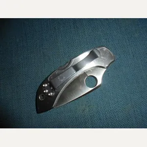 Spyderco Dragonfly Tattoo Folder S/n 03166