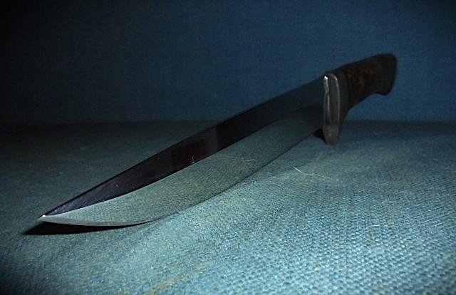 Outstanding Quality Custom Knife S/n 03235 — image 7