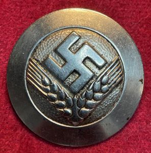 3rd Reich RAD Brosche für Arbeitsmaid (Assmann)