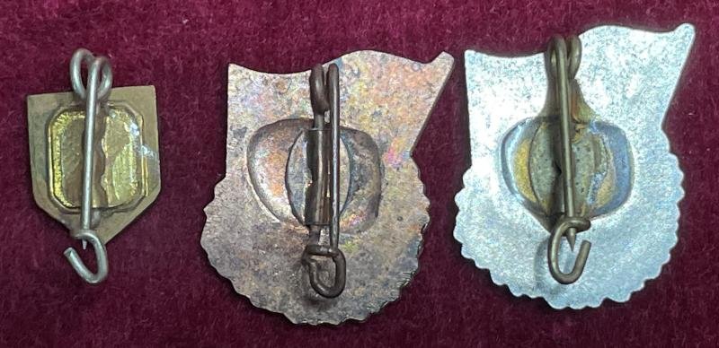 DDR Freie Deutsche Jugend abzeichen — image 2